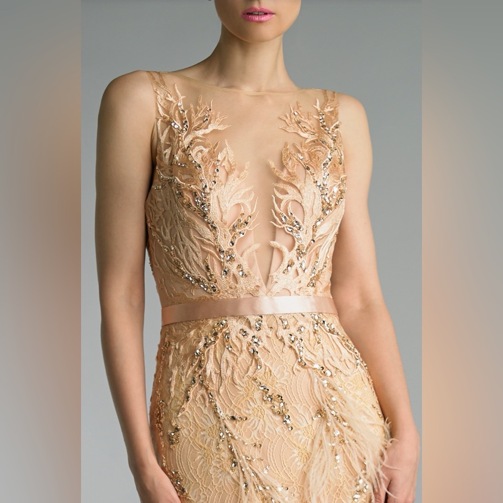 ILLUSION BURNOUT FEATHERED SLEEVELESS GOWN